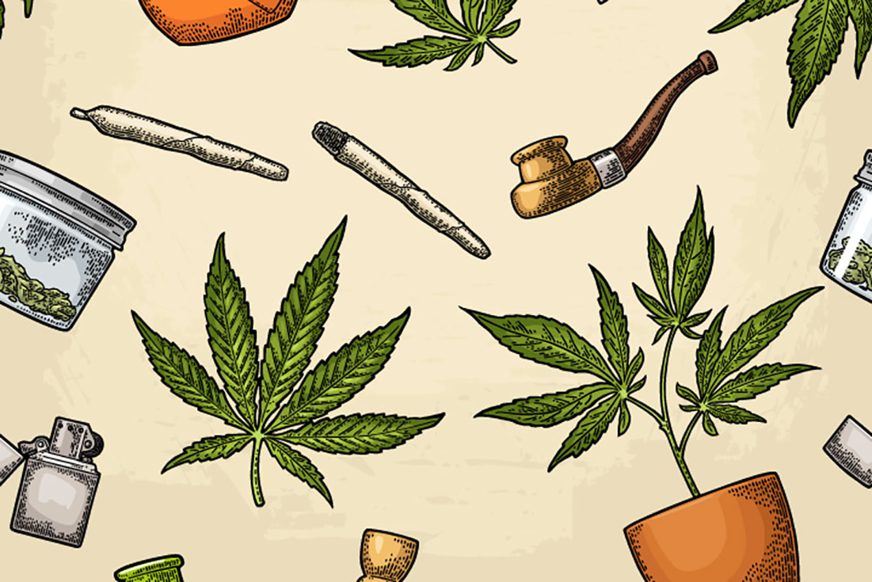Cannabis club hamburg – Blütenbande e.V. stellt sich vor