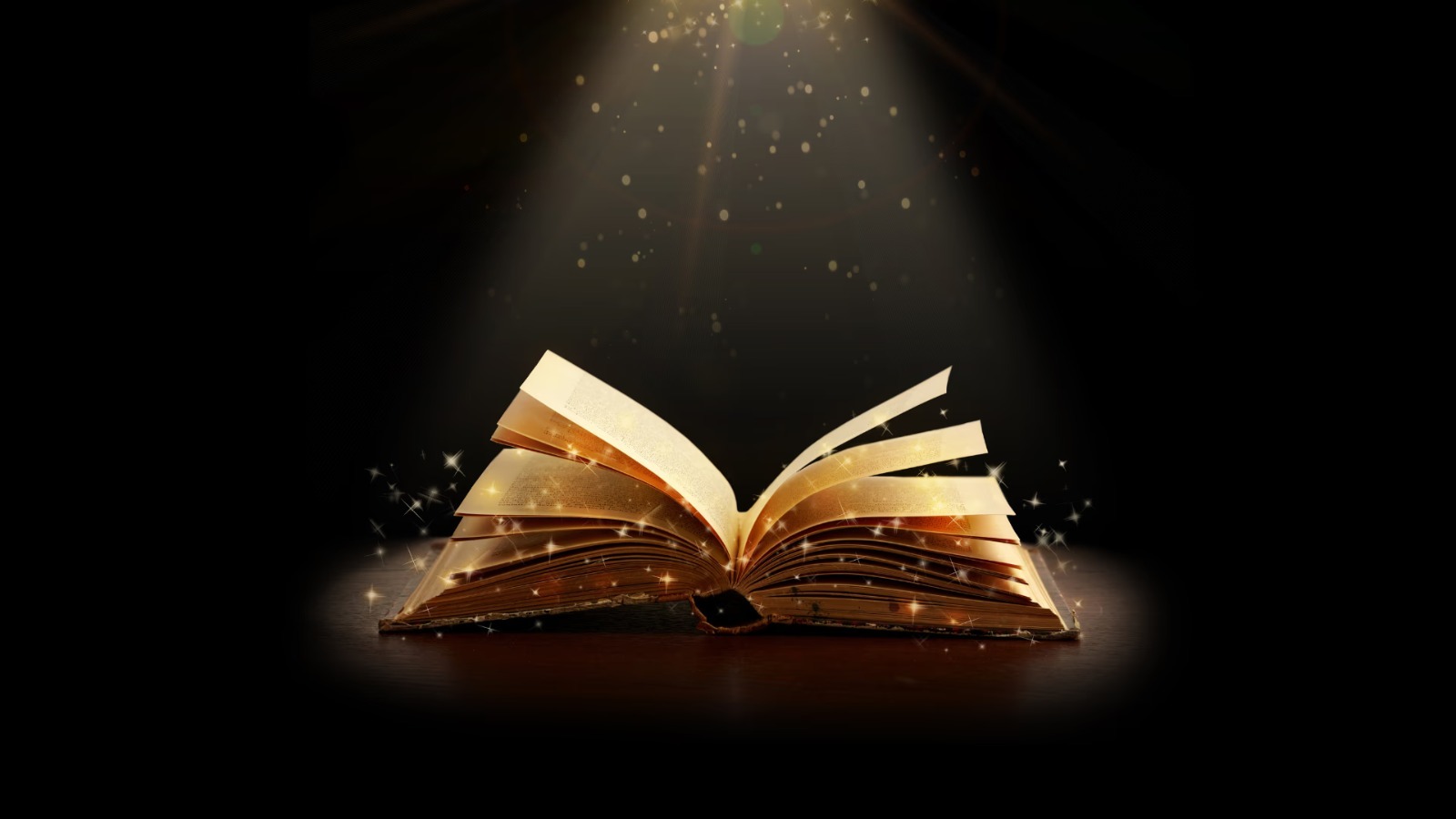 Discover the Magic of Stephanie Colbert’s Raynes Legacy Series