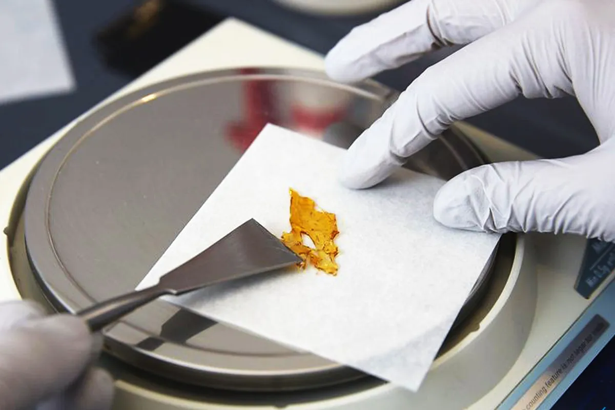 Cbd oil vape Flavor Options Explained