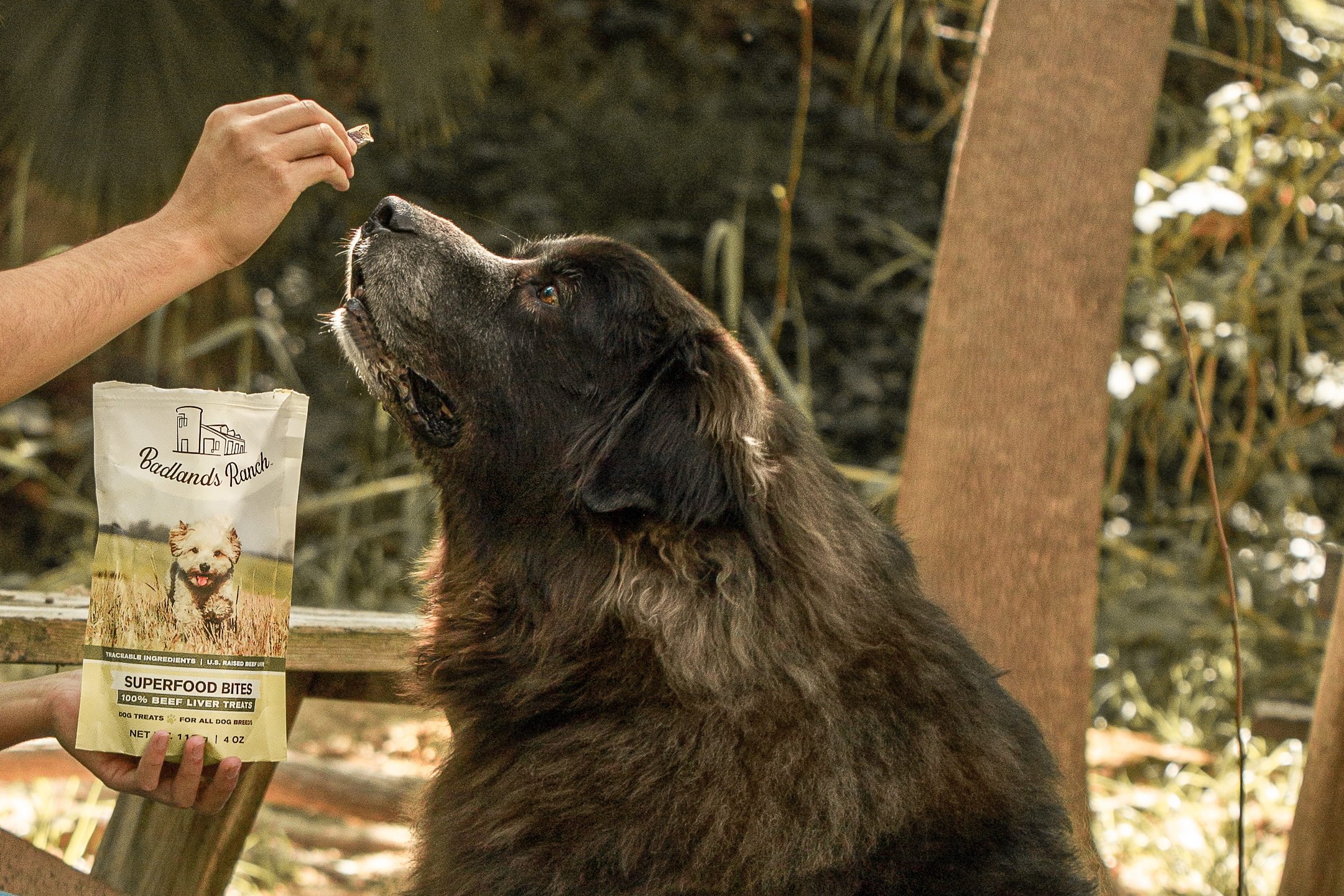 Why Badlands Ranch Dog Food Is an Investment in Your Dog’s Health